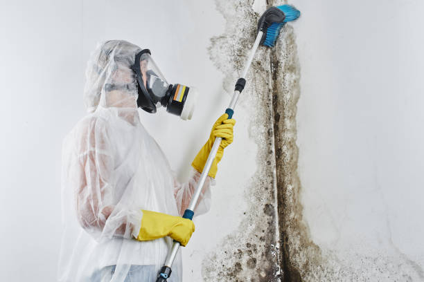 Water Damage Restoration in Pine Ridge, SD