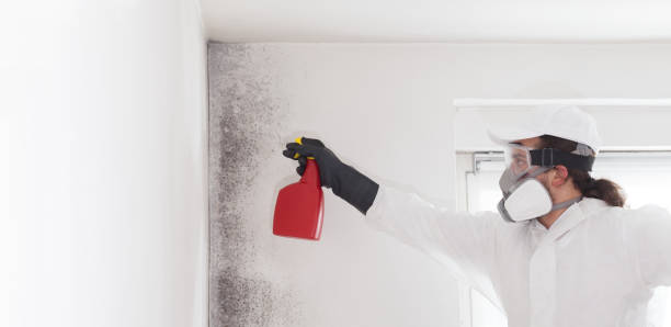 Best Mold Cleaning Services  in Pine Ridge, SD