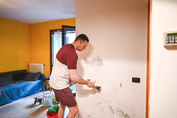 Best Commercial Mold Removal  in Pine Ridge, SD